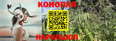 гидропоника Ангарск