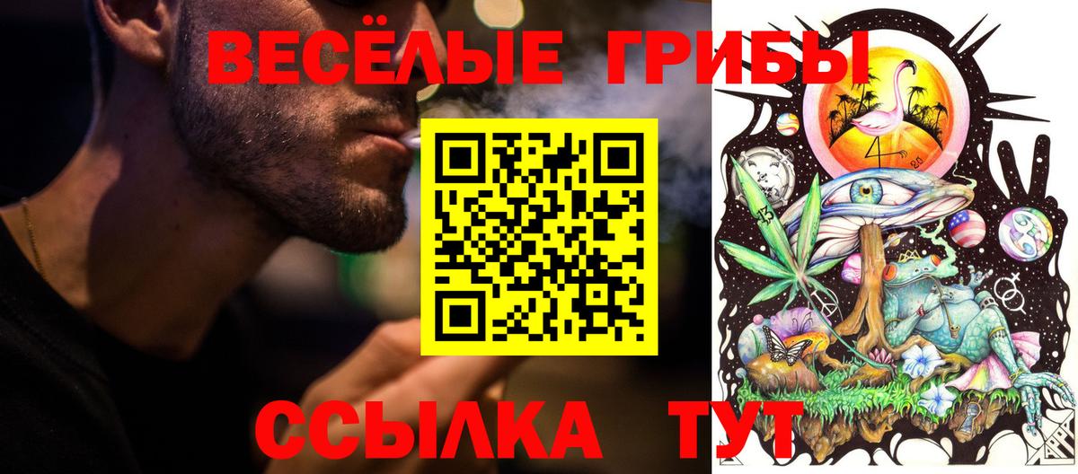 Галлюциногенные грибы Psilocybe  Вход с VPN  Архангельск 